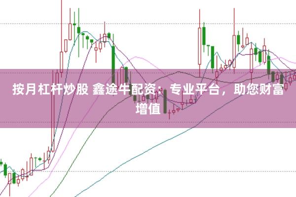 按月杠杆炒股 鑫途牛配资：专业平台，助您财富增值