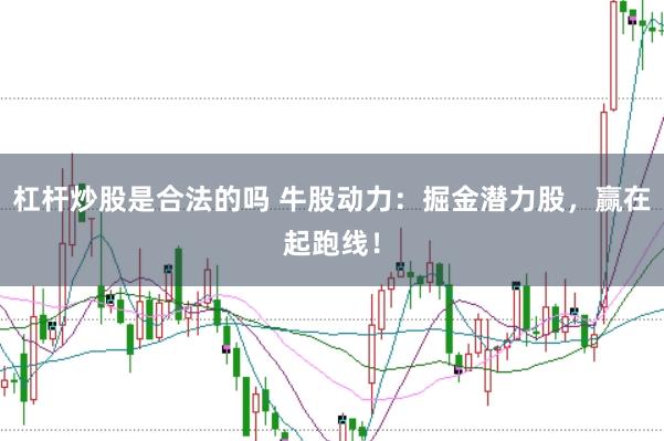 杠杆炒股是合法的吗 牛股动力：掘金潜力股，赢在起跑线！