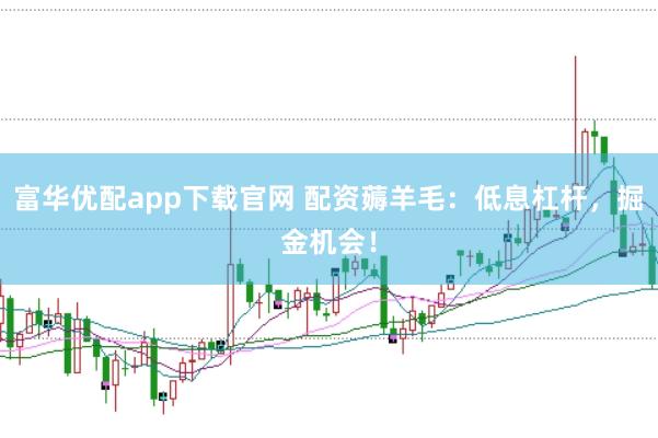富华优配app下载官网 配资薅羊毛：低息杠杆，掘金机会！