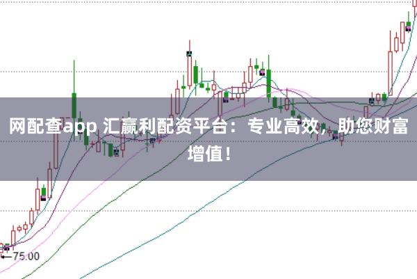 网配查app 汇赢利配资平台：专业高效，助您财富增值！