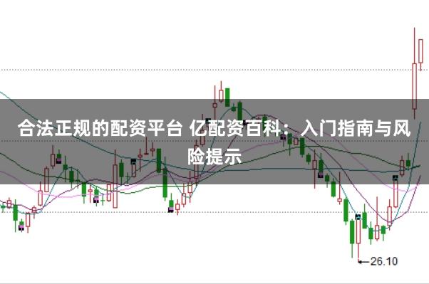 合法正规的配资平台 亿配资百科：入门指南与风险提示