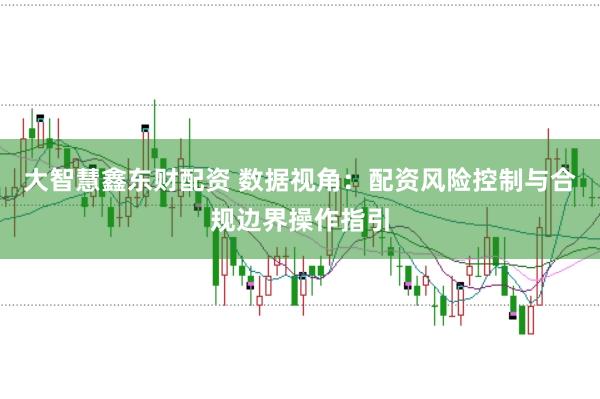 大智慧鑫东财配资 数据视角：配资风险控制与合规边界操作指引