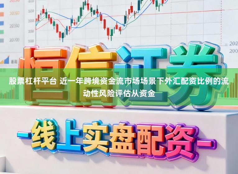 股票杠杆平台 近一年跨境资金流市场场景下外汇配资比例的流动性风险评估从资金