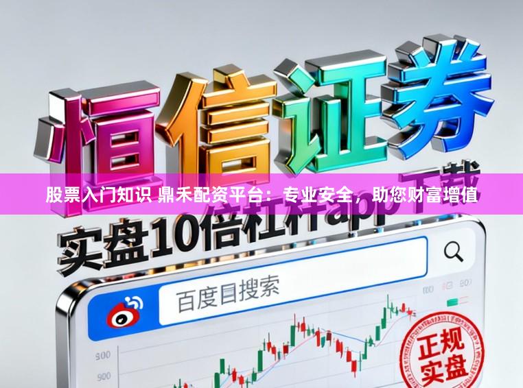 股票入门知识 鼎禾配资平台：专业安全，助您财富增值
